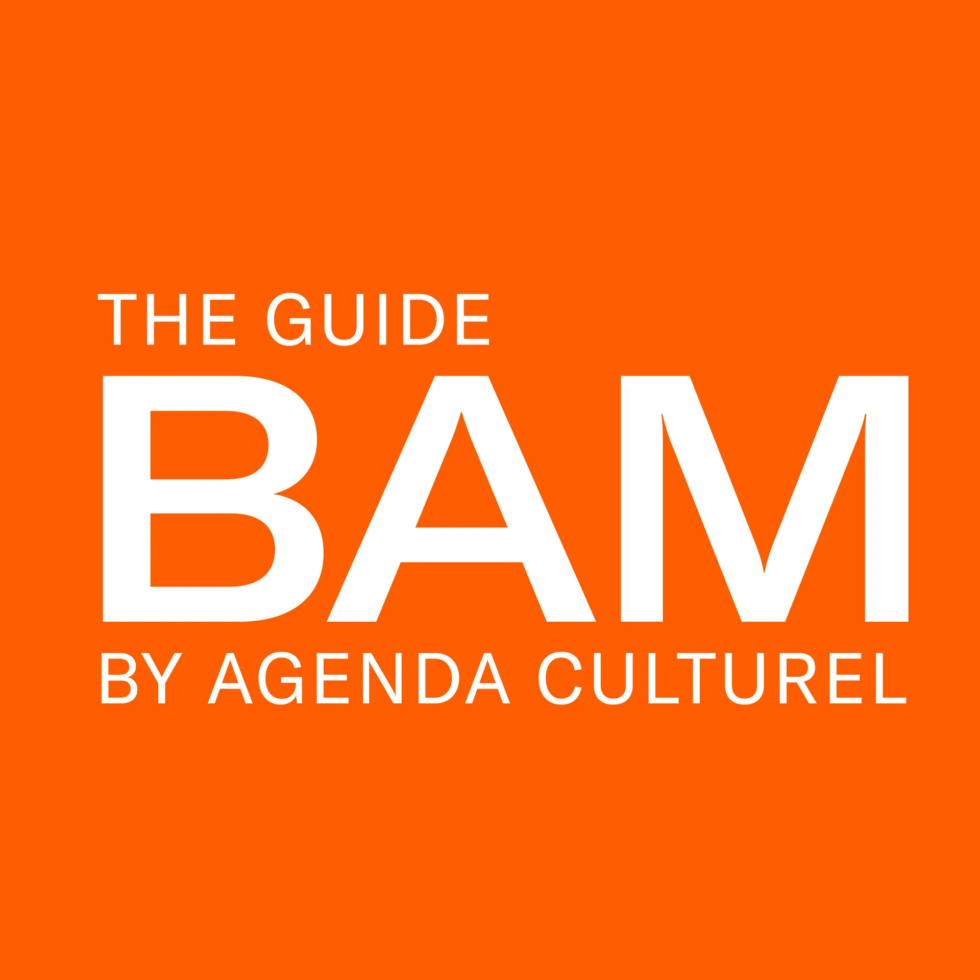 bam-logo